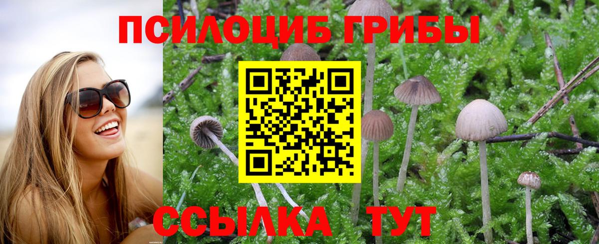 Псилоцибиновые грибы мицелий Маркс