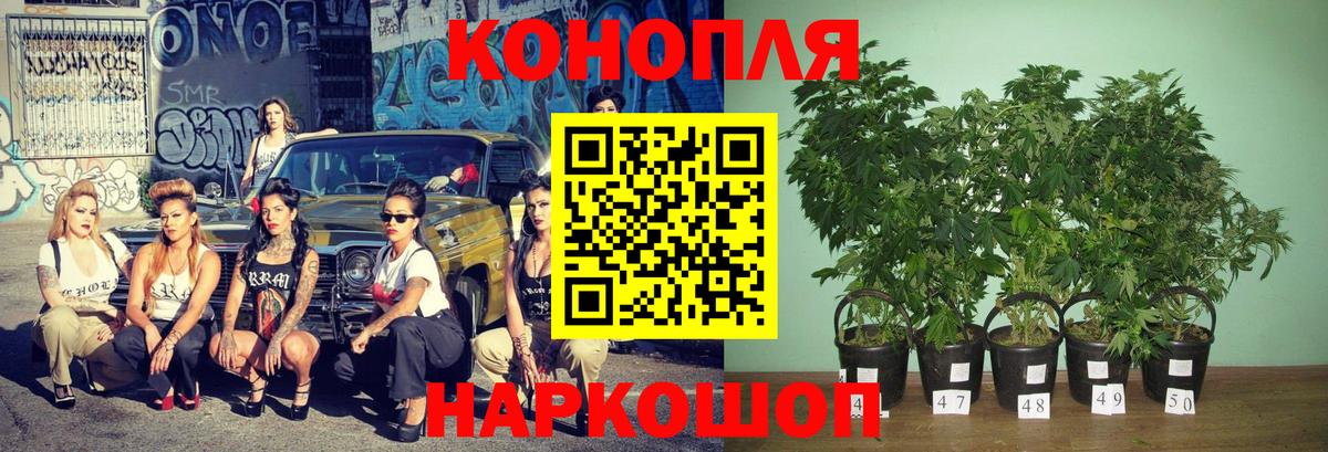 Канабис план  Бошки марихуана MAZAR  Канабис гибрид  Маркс  Вход с VPN 
